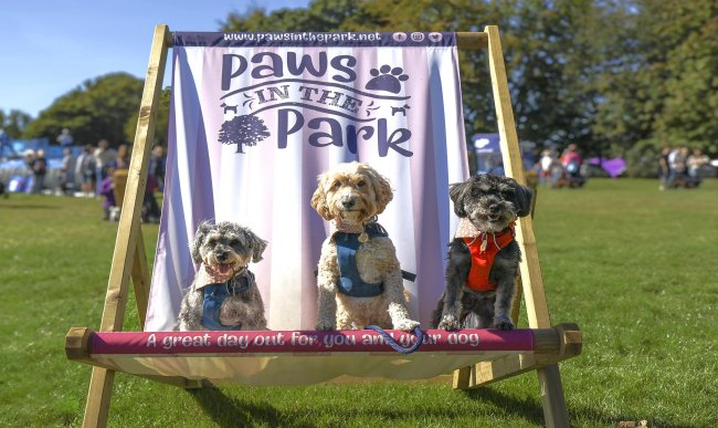 Paws in the Park 2025