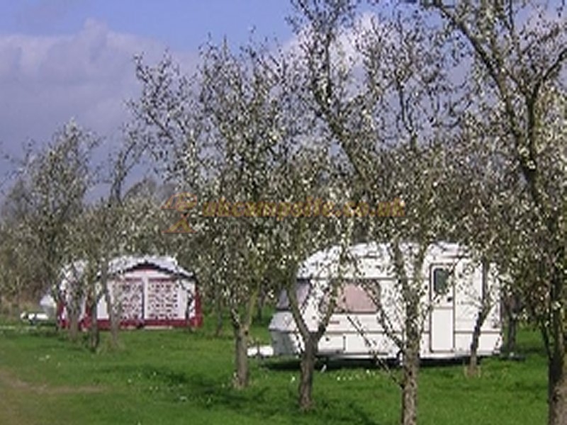 Phillimore Garden Centre Campsite