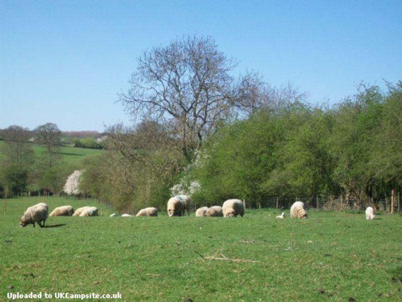 Meadowsweet Farm Certificated Site