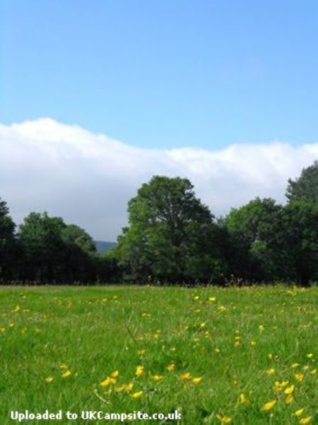 Stoneywish Nature Reserve And Campsite