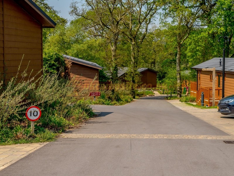 Wareham Forest Lodge Retreat