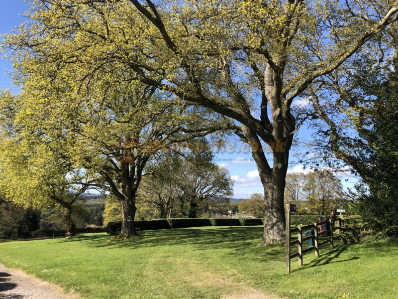 Deanwood Holidays Caravan And Camp Site