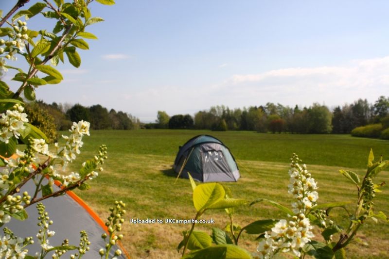 Sawyers Wood Camping