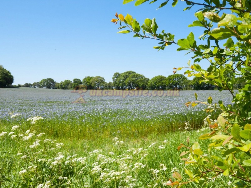 Broadhembury Holiday Park