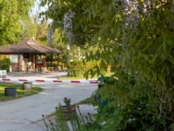 Broadhembury Holiday Park