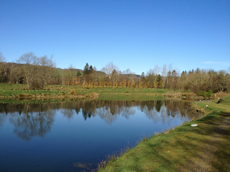 The Green Frog Campsite Fishery And Cafe