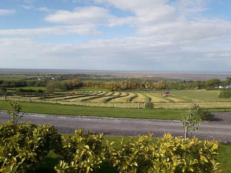 Ynyshir Farm Campsite