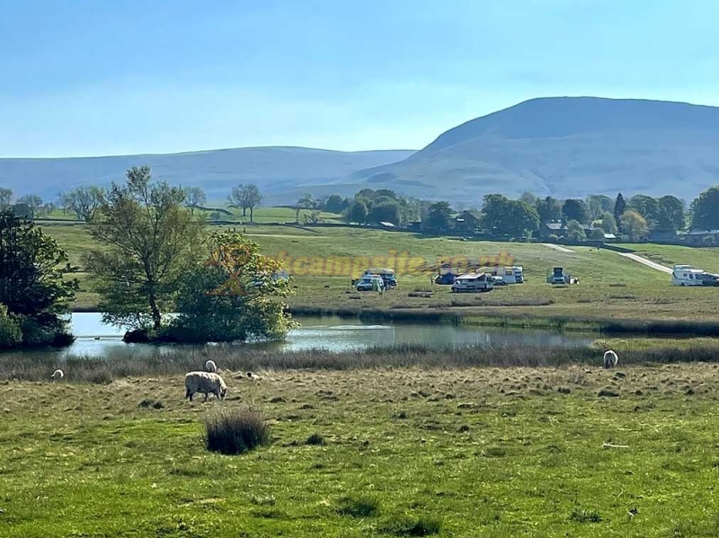 Brackenber Moor Caravan Site