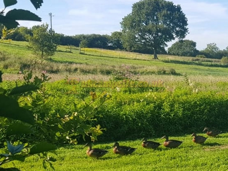 The Marsh Camping And Caravanning Site