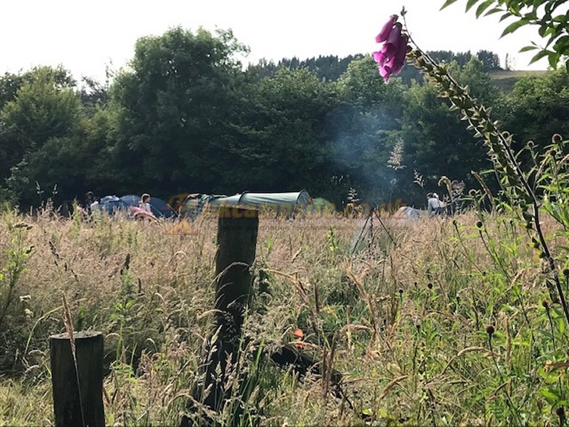 Caraway Meadows Campsite