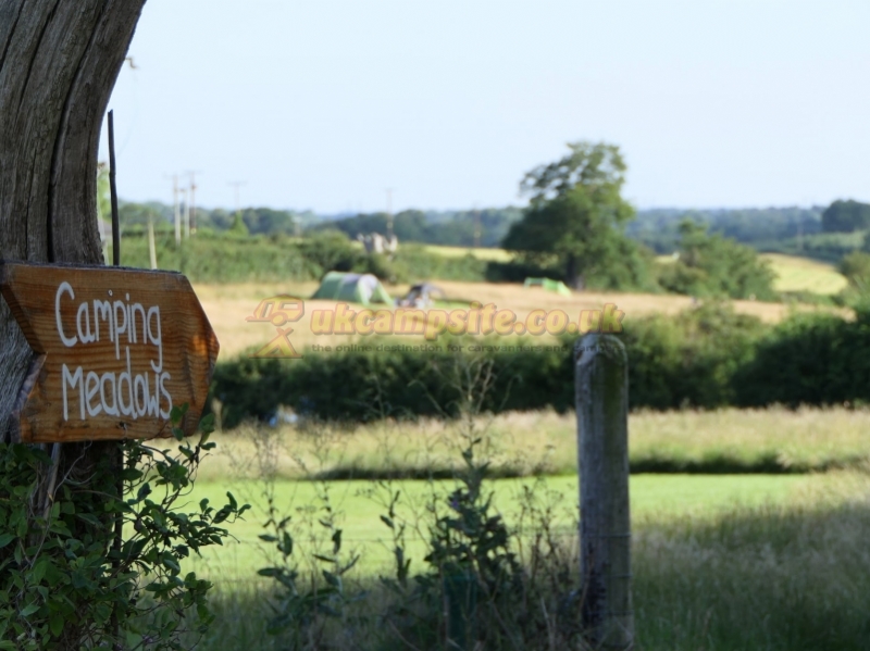 Birds And Bees Campsite