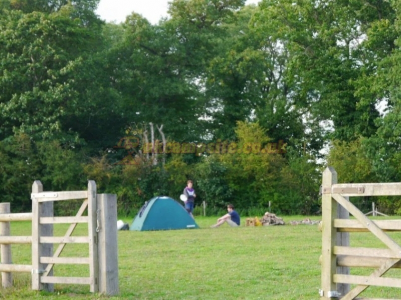 Ismore Coppice National Trust Wild Campground