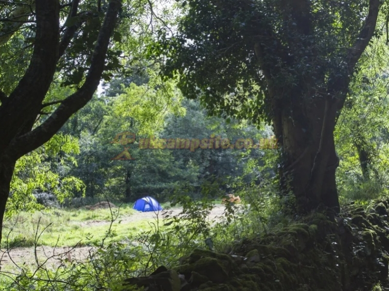 Heddon Valley National Trust Campsite