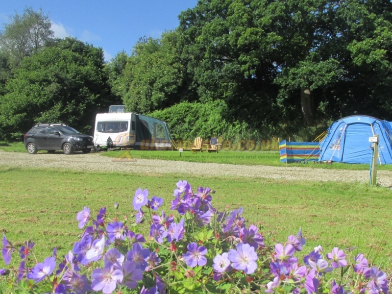 The Meadows Camping Field Certificated Site