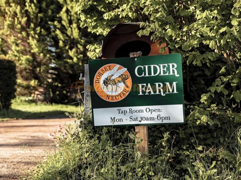 Dorset Nectar Cider Farm Campsite