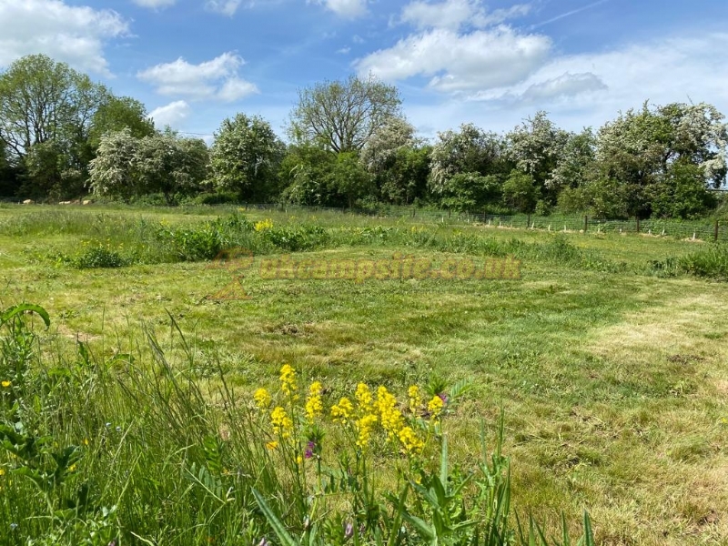 The Wildings Campsite