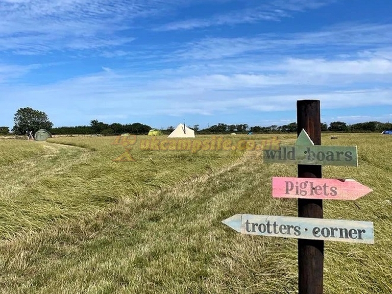 Pigs In Blankets Camping