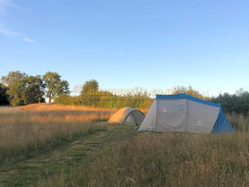 Golden Hill Wood Popup Campsite