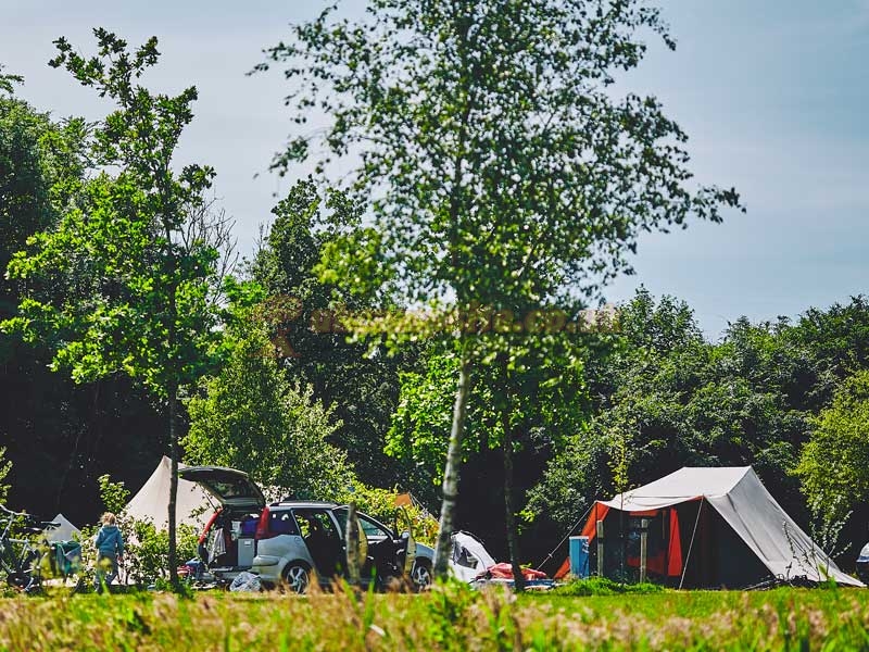 Het Bos Roept Camping