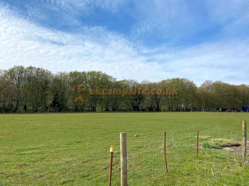 Springbridge Farm Campsite