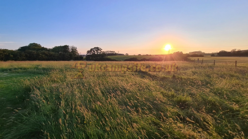 Horton View Farm Popup Campsite