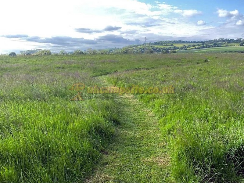 Horton View Farm Popup Campsite