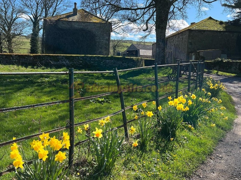 Snittlegarth Farm Lodges Huts And Cabins