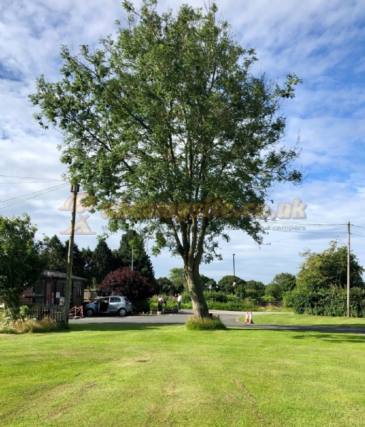 Bilton Park Camping And Caravan Site