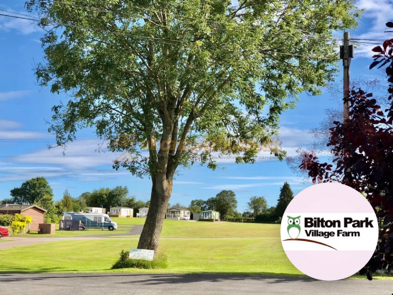 Bilton Park Camping And Caravan Site