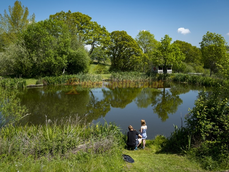 Wood Farm Holiday Park (PHolsUK) , Charmouth Campsites, Dorset