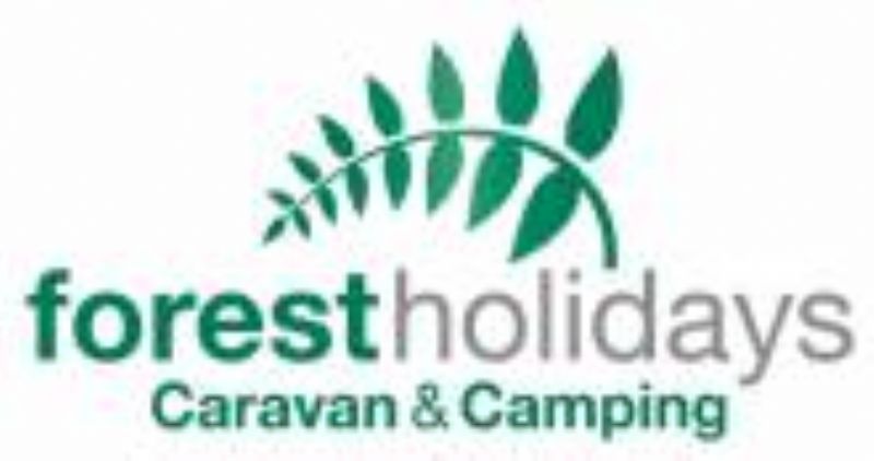 Woodland Caravan & Camping Site Forest Holiday