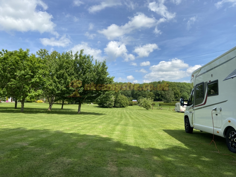 The Beeches Campsite