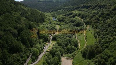 Cwmcarn 2024 forest camping