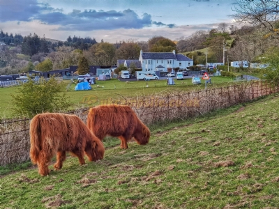 South Whittlieburn Farm