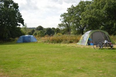 Parsley hotsell hay camping