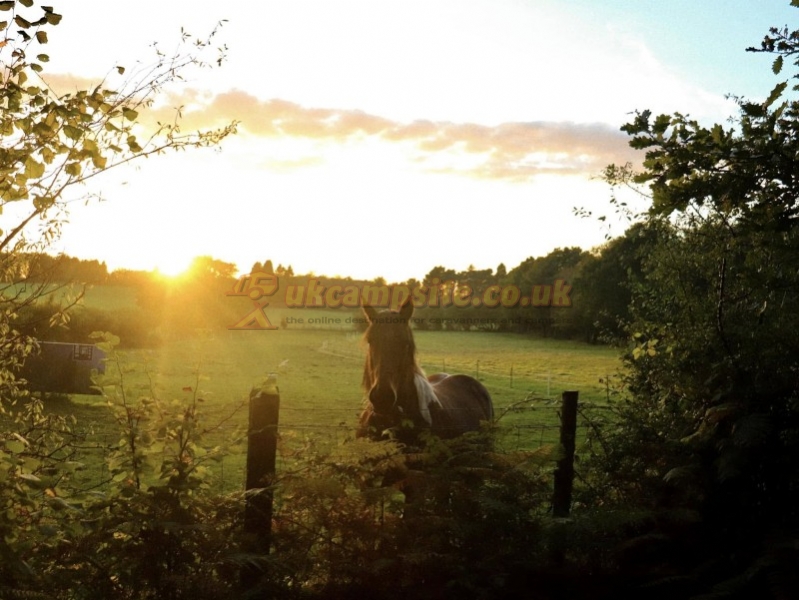 Greenway Farm Caravan And Camping Site