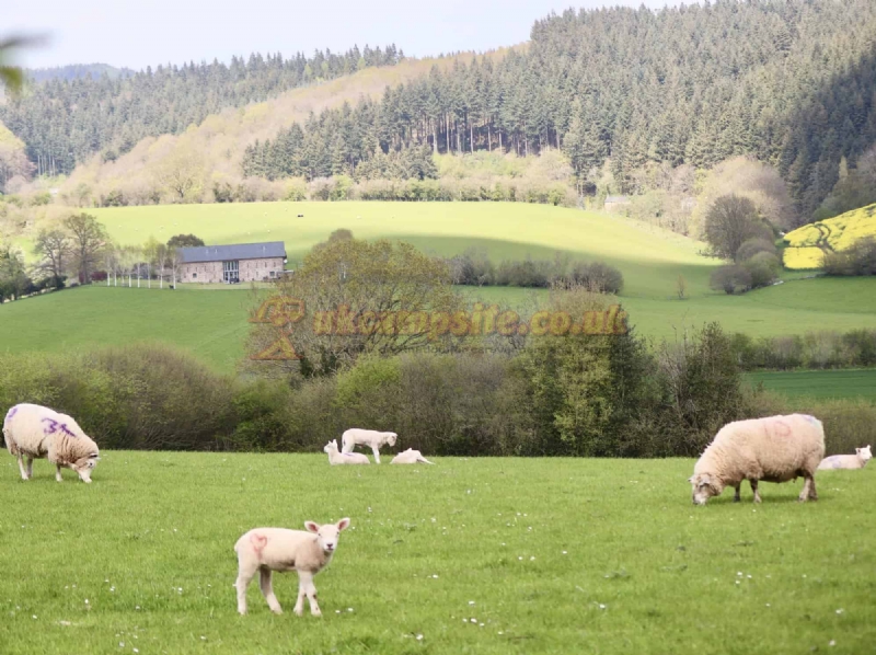 Greenway Farm Caravan And Camping Site