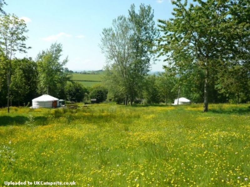 Strawberry Skys Yurts